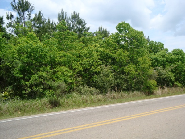 Lot 4 Three Notch Rd, Mobile, AL 36619 