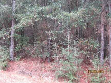 0 Highland Rd, Eight Mile, AL 36613 