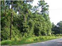 0 Pinehaven Dr 22, Mobile, AL 36605 