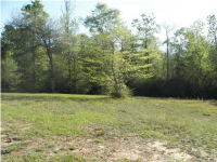 0 Buck Ct 20, Semmes, AL 36575 