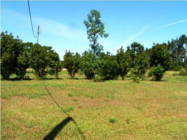 19189 HORSESHOE CIR, Seminole, AL 36574 