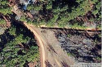 Ellis, Dierks, AR 71833 