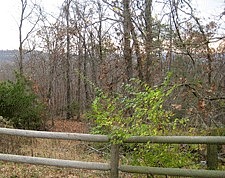 Sequoyah Meadows, Fayetteville, AR 72704 