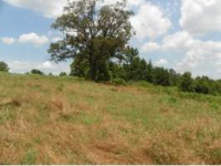 Dodson Lane, Russellville, AR 72802 