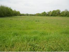 Russell Road, Russellville, AR 72801 