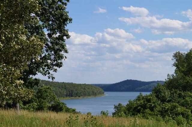 122 Lake Pointe Drive Dr, Clarkridge, AR 72623 