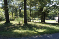 Lts 738-740 Combs Avenue Ave, Cotter, AR 72626 