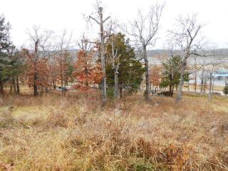 Park View Drive, Diamond City, AR 72630 