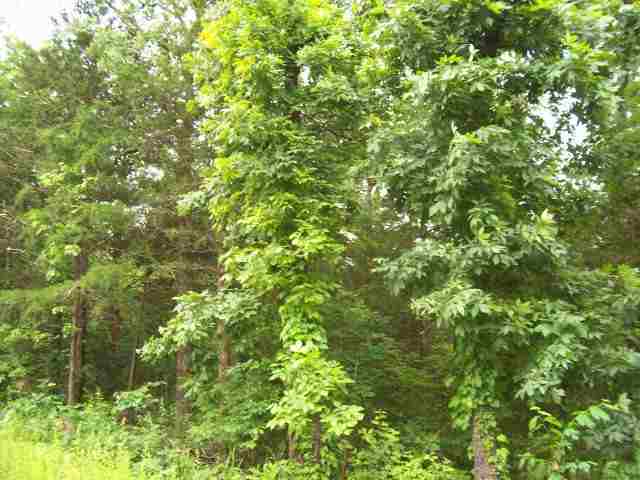 504 W Somonauk Drive, Diamond City, AR 72630 