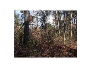 Blue Jay Lane, Diamond City, AR 72630 