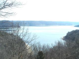 223 Panorama Shores Dr., Eureka Springs, AR 72631 