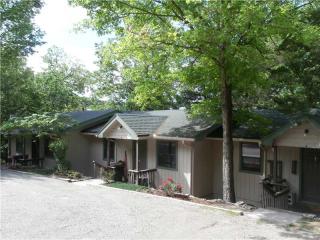 8 Stateline, Holiday Island, AR 72631 