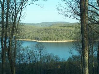 Honey Creek RdLot 1, Eureka Springs, AR 72631 