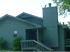 65 Bluewater Dr #1, Holiday Island, AR 72631 