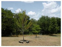 62 Bandy Dr, Holiday Island, AR 72631 