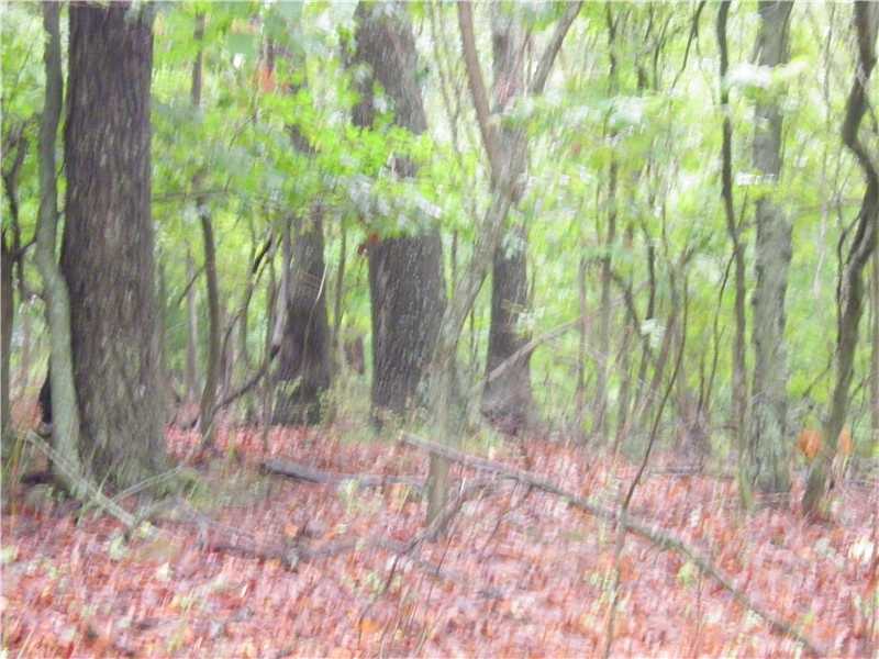 3 acres Mundell Rd, Eureka Springs, AR 72631 
