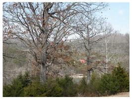 65 Bandy Dr, Holiday Island, AR 72631 