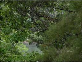 67 Table Rock Dr, Holiday Island, AR 72631 