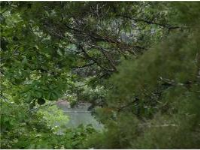 67 Table Rock Dr, Holiday Island, AR 72631 