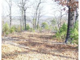 3 Smokey Ridge Ct, Eureka Springs, AR 72631 