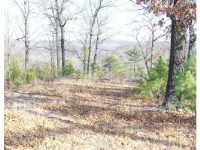 3 Smokey Ridge Ct, Eureka Springs, AR 72631 