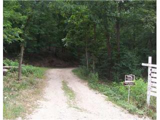 Lot 1 &amp; Z Lowel Point Subdivision, Eureka Springs, AR 72631 