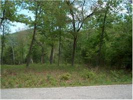 000 CR Hwy 187, Eureka Springs, AR 72631 