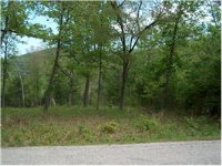 000 CR Hwy 187, Eureka Springs, AR 72631 