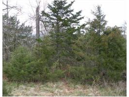 6 Rocky Top Cic, Holiday Island, AR 72631 