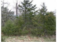 6 Rocky Top Cic, Holiday Island, AR 72631 