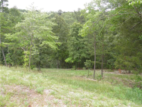 Hwy 187 6.43 acres, Eureka Springs, AR 72631 