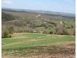 Lot 5 CR 309, Eureka Springs, AR 72631 