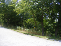 97 Beaver Dr, Holiday Island, AR 72631 