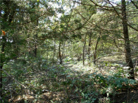 CR 2062, Eureka Springs, AR 72631 