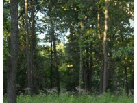 Lot 2 East Bluff Road, Eureka Springs, AR 72631 