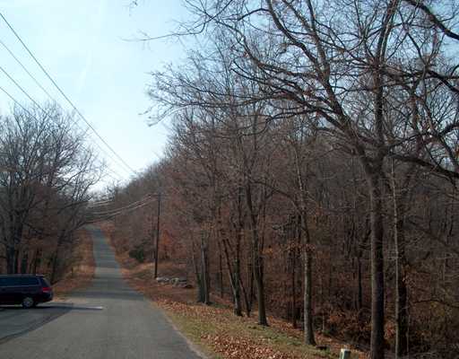 Summit Dr, Eureka Springs, AR 72631 