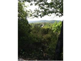 39 Deer Run, Holiday Island, AR 72631 