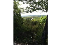 39 Deer Run, Holiday Island, AR 72631 