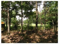 21 Mission Hills Ln, Holiday Island, AR 72631 