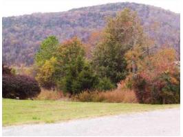 12 Bandy Dr, Holiday Island, AR 72631 