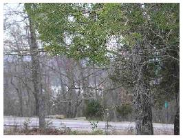 104 Table Rock Dr, Holiday Island, AR 72631 