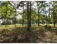 92 Holiday Island Dr, Holiday Island, AR 72631 