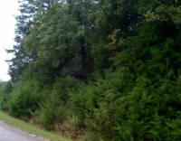 25 Deer Run Dr, Holiday Island, AR 72631 