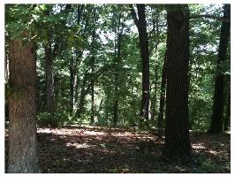 Hillcrest Dr., Eureka Springs, AR 72631 