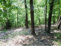 00 Lake View Dr, Eureka Springs, AR 72631 