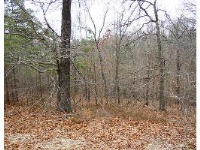 Jordan Ridge Ln, Eureka Springs, AR 72631 