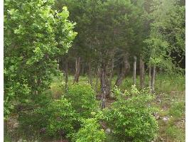 123 Appaloosa Dr., Holiday Island, AR 72631 