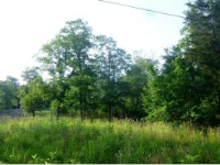 Lot 25 White River Ln., Holiday Island, AR 72631 