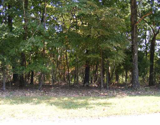 16 Mission Hills Ln, Holiday Island, AR 72631 