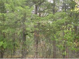 13 Oak Point Ln, Holiday Island, AR 72631 